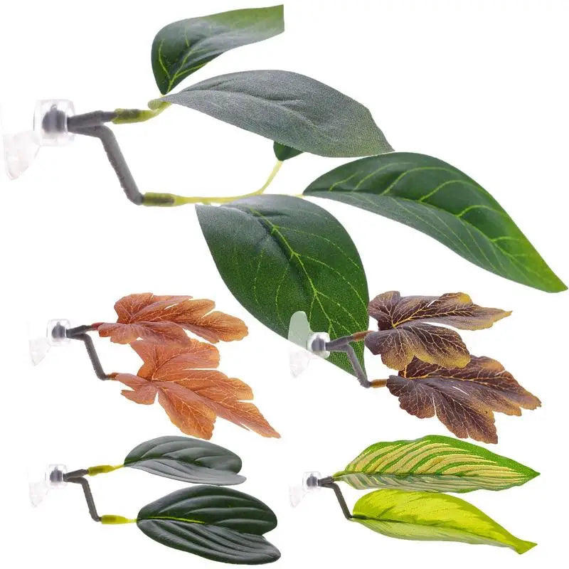 Aquarium Supplies
